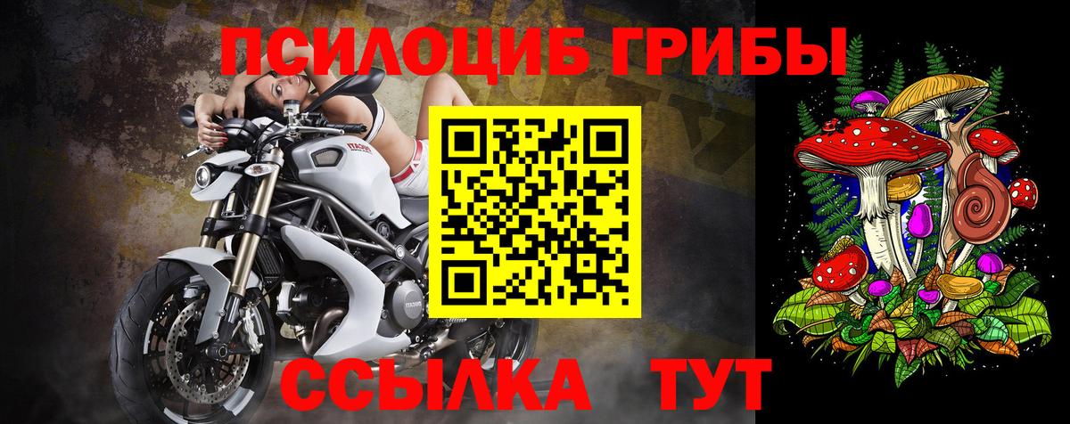 Галлюциногенные грибы прущие грибы  Вход с VPN  Галлюциногенные грибы GOLDEN TEACHER  Минеральные Воды 